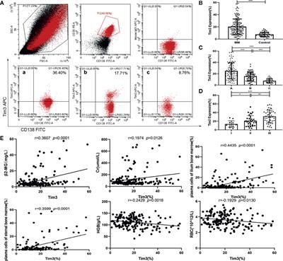 Study on Tim3 Regulation of Multiple Myeloma Cell Proliferation via NF-κB Signal Pathways
